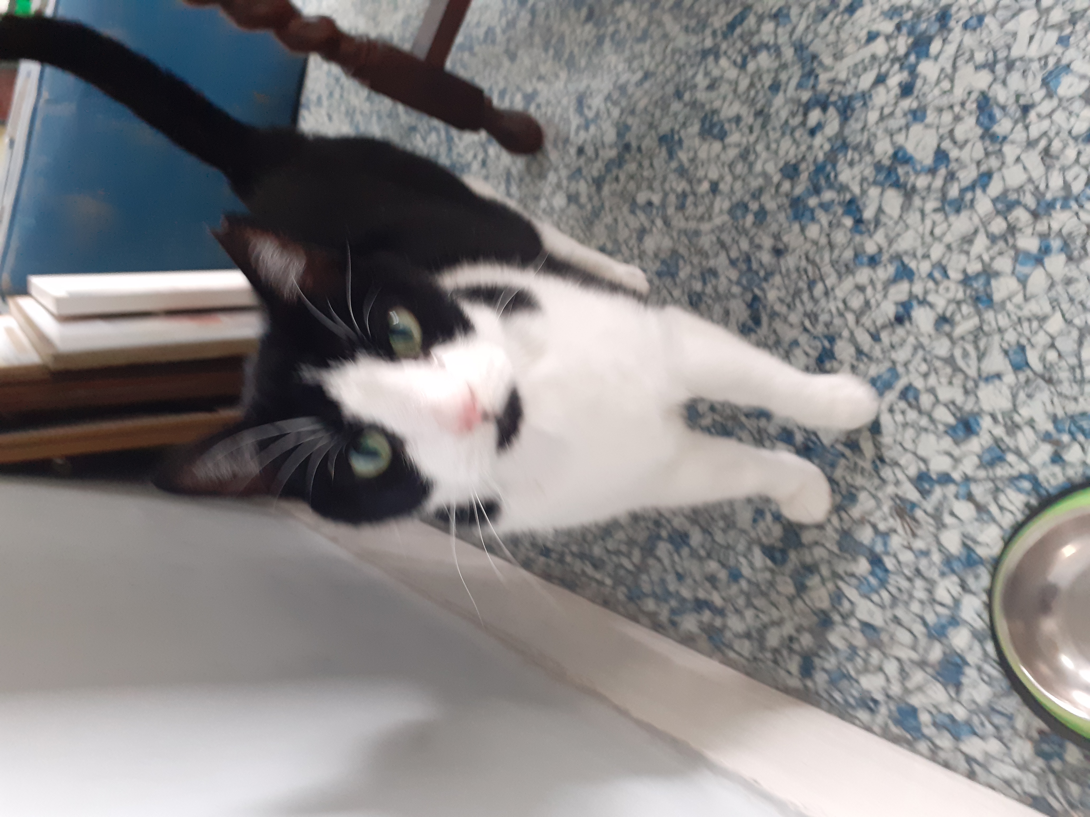 Handsome Timmy