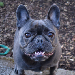 WINNIE