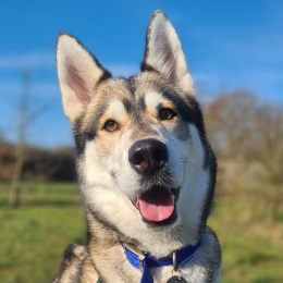 Delilah