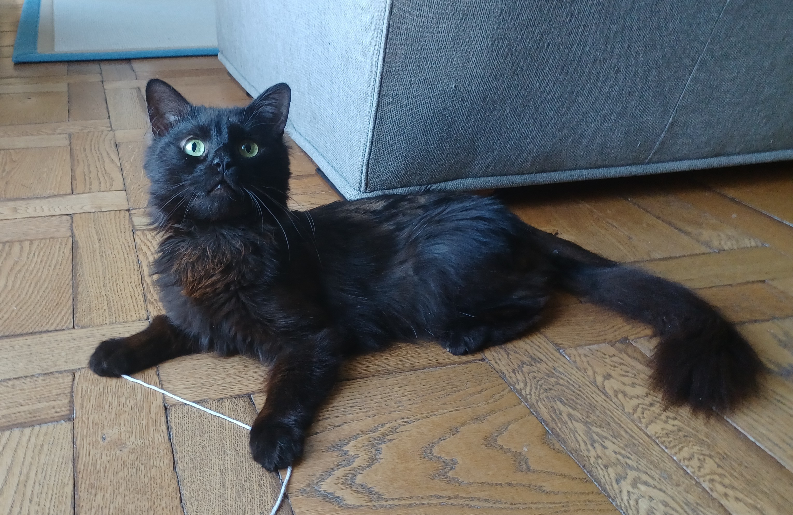 Tchalla