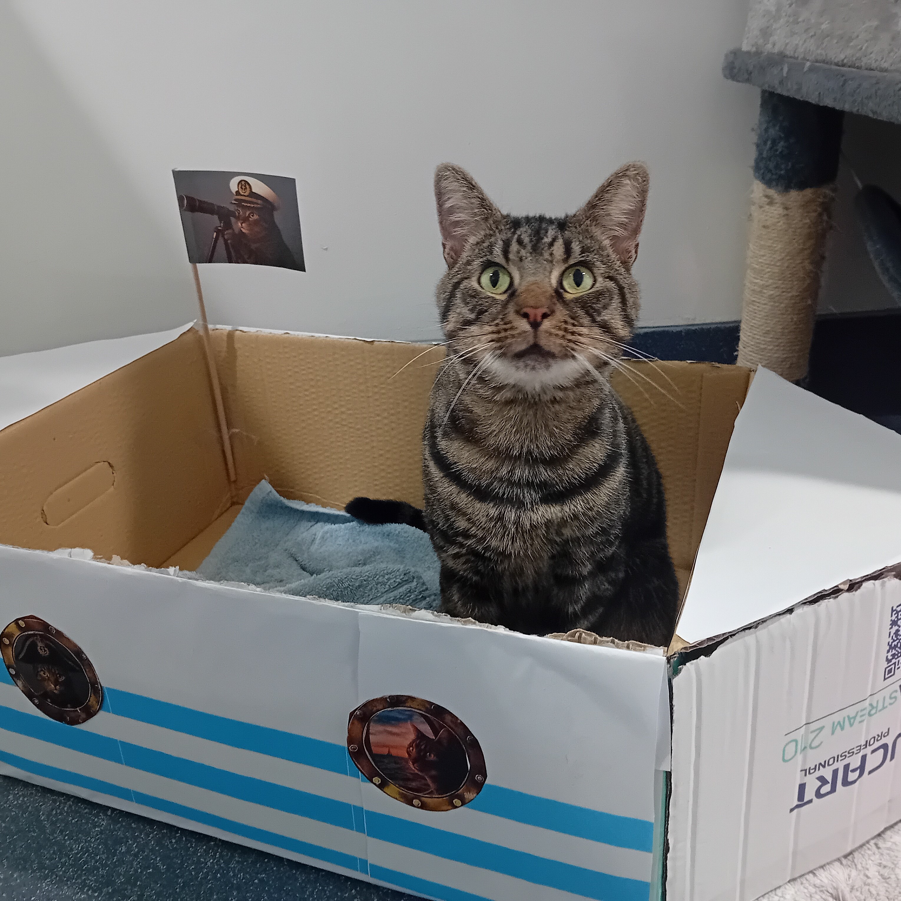 Admiral TomTom