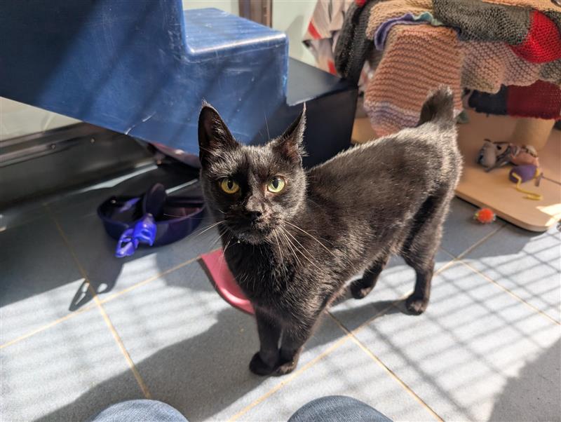 Luna