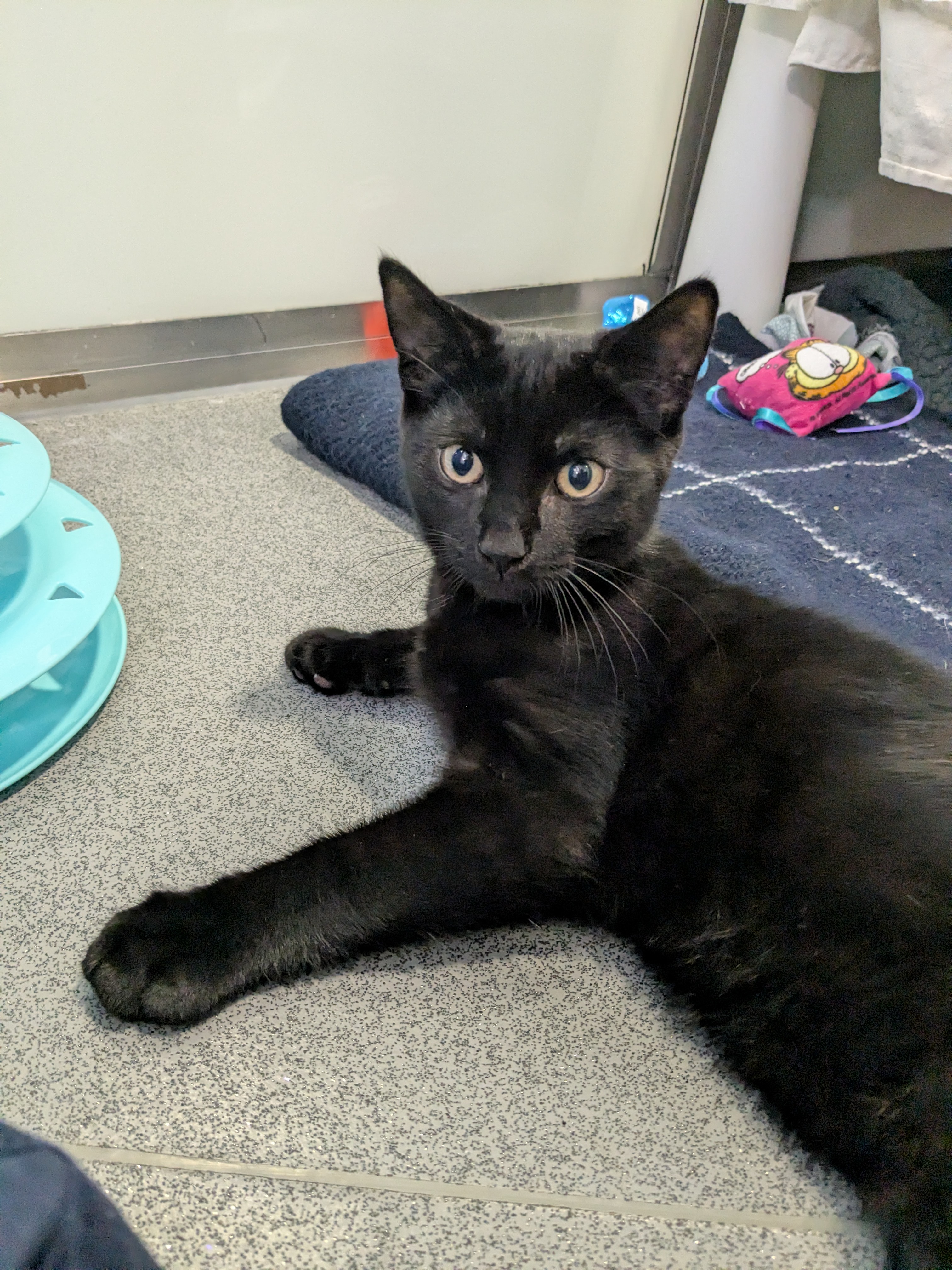 Sebastian