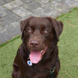 Bailey