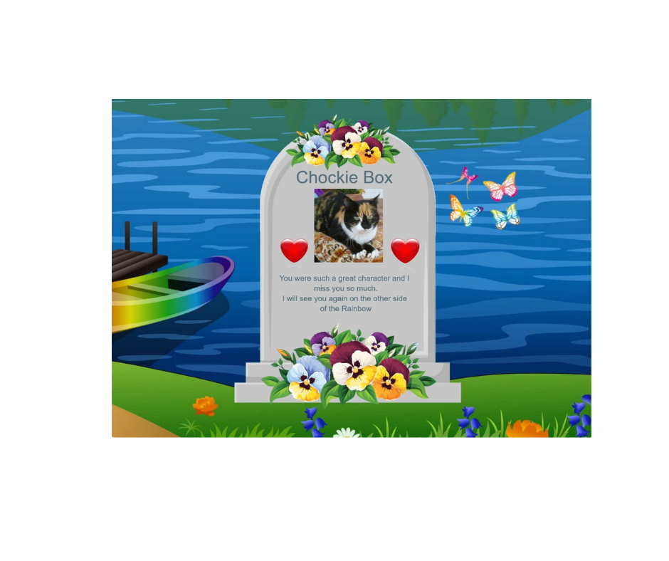 In loving memory of Chockie Box