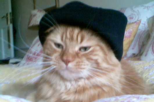 In loving memory of Rusty
