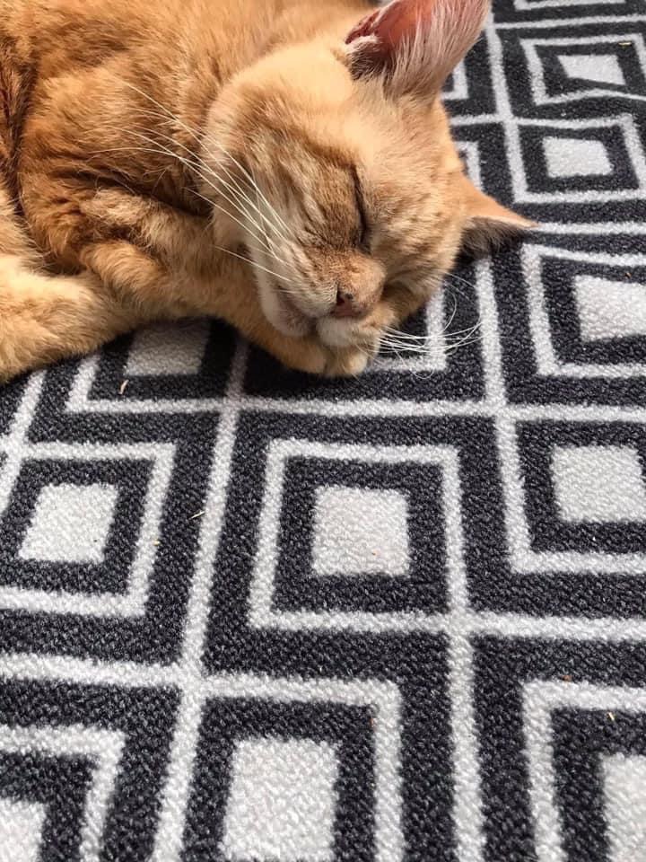 In loving memory of Elli