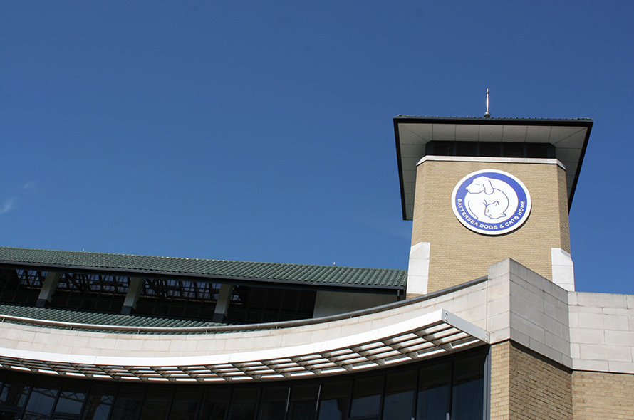 New logo of Battersea Dogs and Cats Home logo on the side of our building