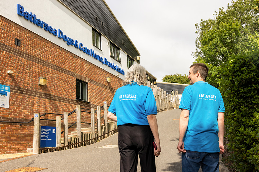 Volunteers at Battersea Brands Hatch