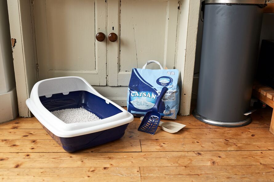 A cat open littler tray filled with litter as a bag of litter its next to it with a few tray scoops