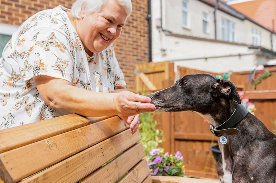 A foster carer feeds their dog a treat in a garden