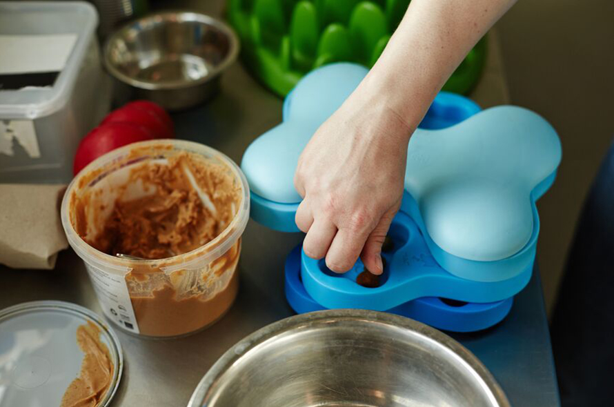 A hand puts treats in a bone shaped slow feeder, next to a pot of food and a food bowl 