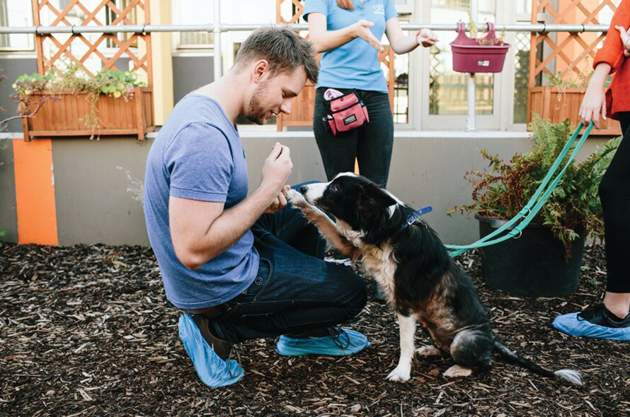 A person kneels down holding a treat while dog looks at the treat and holds up a paw in a garden