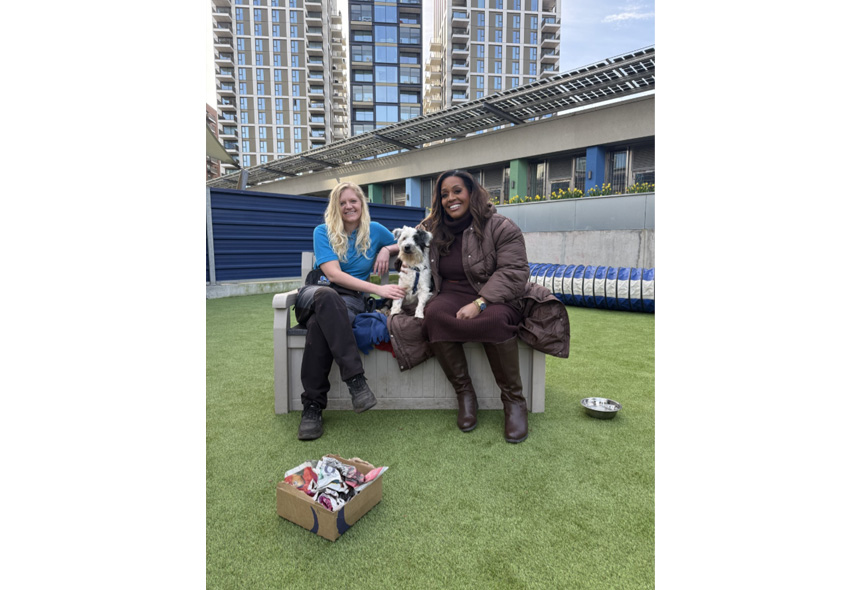 Alison Hammond with Battersea Employee and dog in the paddock