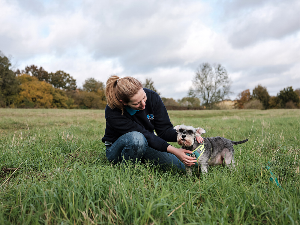 Battersea employee with a dog in a field