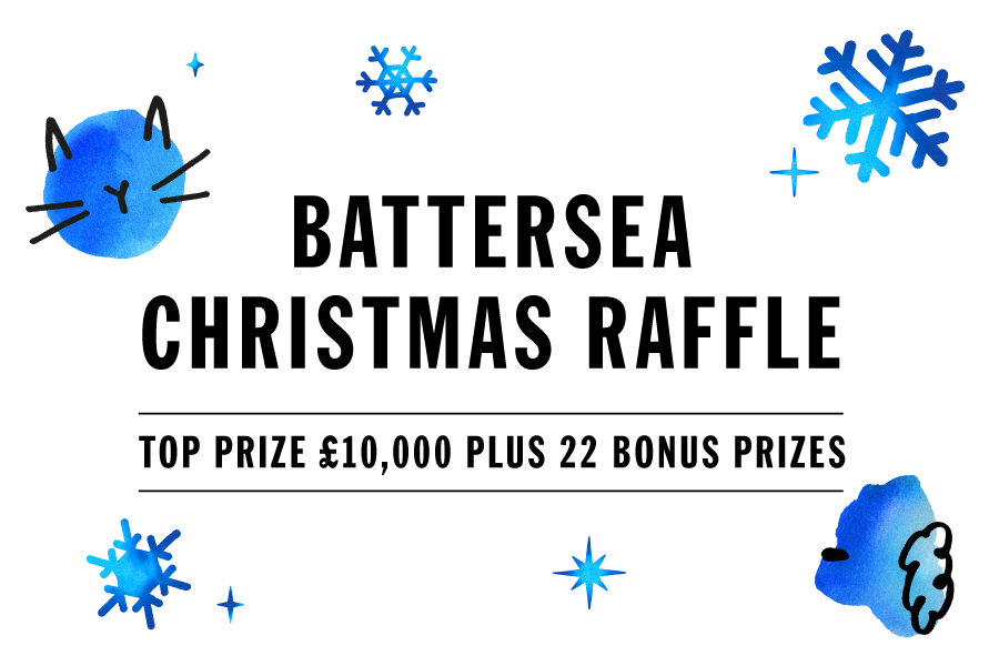 Battersea Christmas Raffle - Top prize £10,000 plus 22 bonus prizes