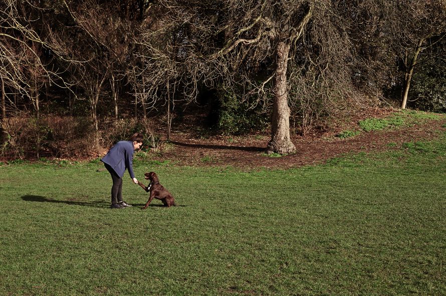 Dog with Battersea employee in a park