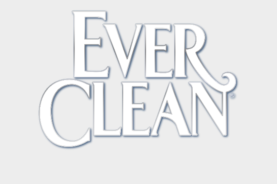 Ever clean logo