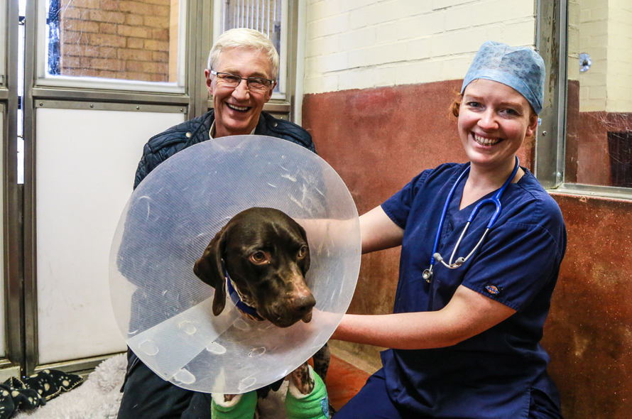 Paul O'Grady and a Battersea nurse smile for a photo with a dog wearing a cone