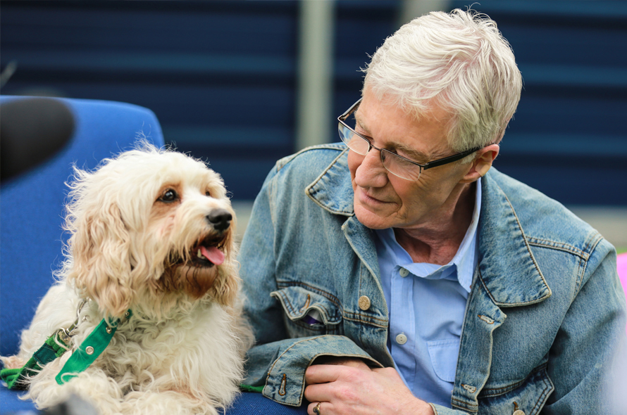 Paul O'Grady sits looking at a scruffy cream coloured dog