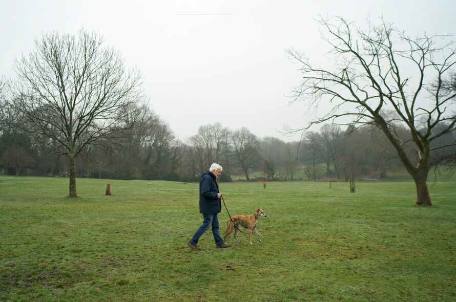 https://www.battersea.org.uk/sites/default/files/inline-images/Person%20walking%20a%20dog%20on%20a%20leash%20in%20a%20park_0.jpeg