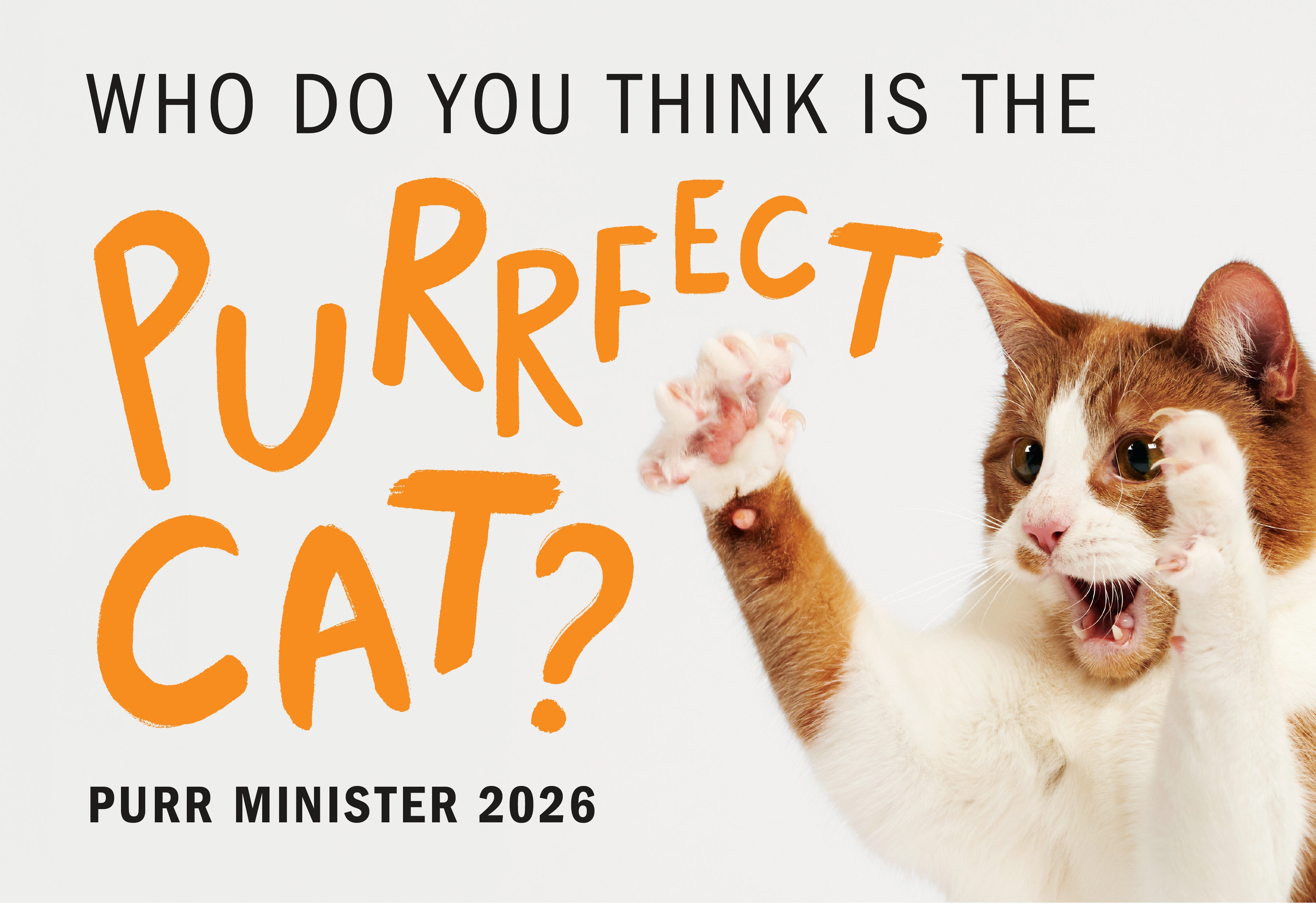 Who do you think is the Purrfect cat? Purr Minister 2026