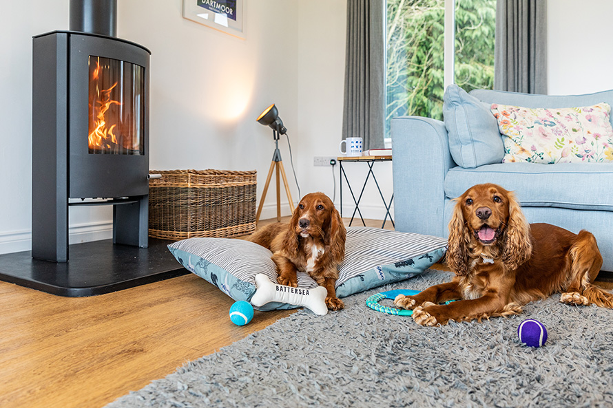 Two dogs in a Canine Cottage playing with Battersea toys