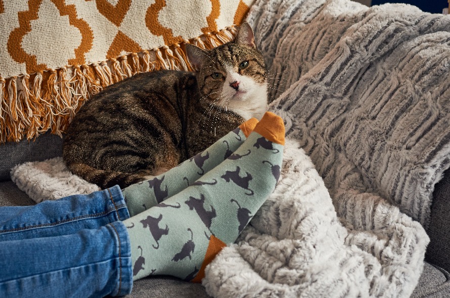 Tabby cat snuggles on cosy sofa surrounded by blankets and pair of feet wearing cat socks
