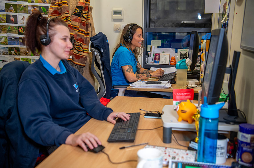Two Feline Behaviour team members at their desks smiling speaking with Battersea supporters through headsets