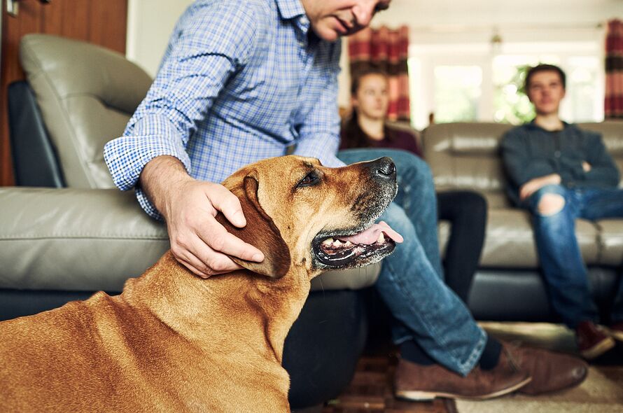 A dog is stroked by a man who is sitting with two other people.