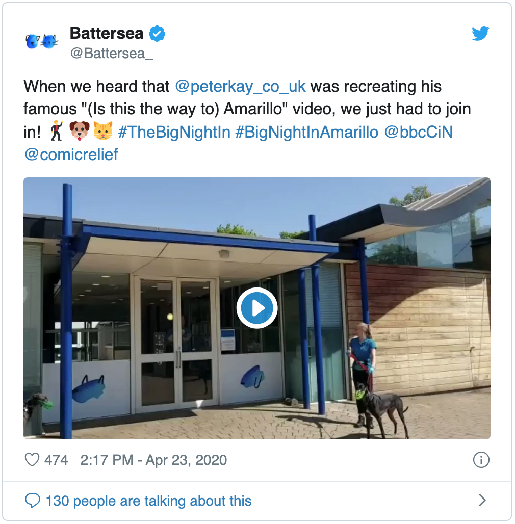 Watch the video on Twitter on Battersea's twitter
