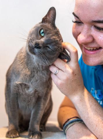 Caring for our animals