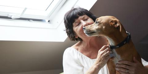 animal-welfare-hero