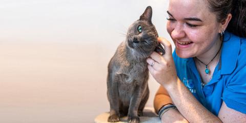 SLIDE - Caring for our animals 