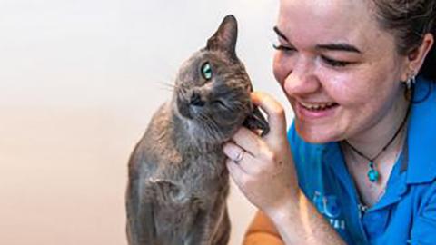 SLIDE - Caring for our animals 