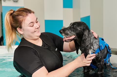 SLIDE - Homepage - Caring for our animals - Dog - V2
