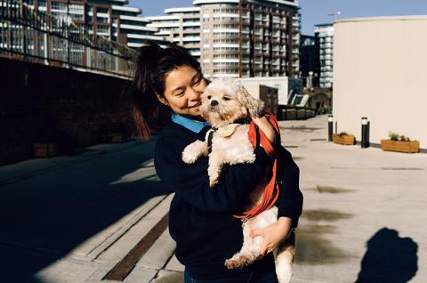 SLIDE - Homepage - Rehoming - Dog