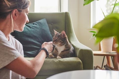 SLIDE - Homepage - Caring for our animals - Cat