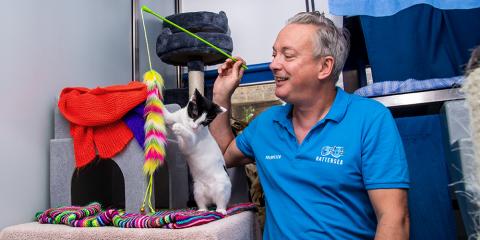 SLIDE - Homepage - What we do - Cat