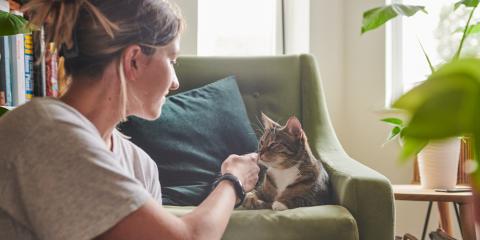 SLIDE - Homepage - Caring for our animals - Cat
