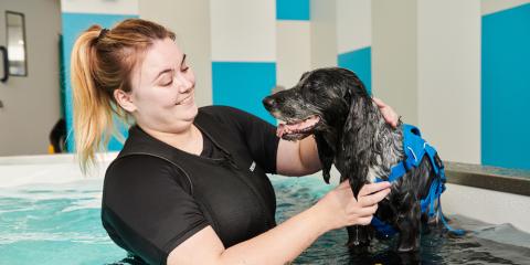 SLIDE - Homepage - Caring for our animals - Dog - V2