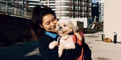 SLIDE - Homepage - Rehoming - Dog