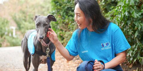 SLIDE - Homepage - Campaigning - Dog