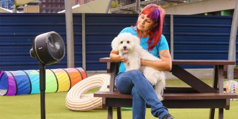 A person sitting on a bench with a dog