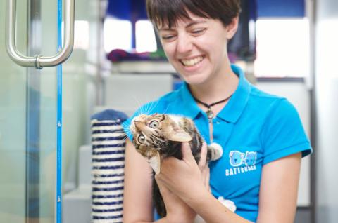 Battersea employee with kitten in their arms 