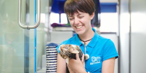 Battersea employee with kitten in their arms 
