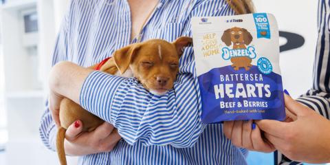 A sleeping puppy sleeping in the arms of a person next to a bag of treats