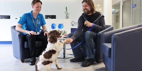 Spaniel shaking a mans paw