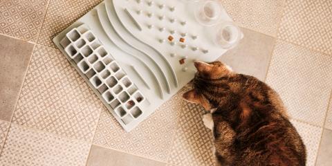Ginger cat playing with snuffle mat