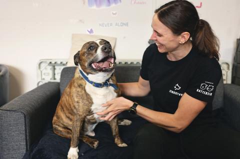 Staffie sat on a sofa with a Streetvet volunteer